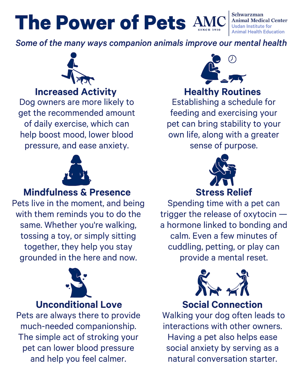 Infographic titled 